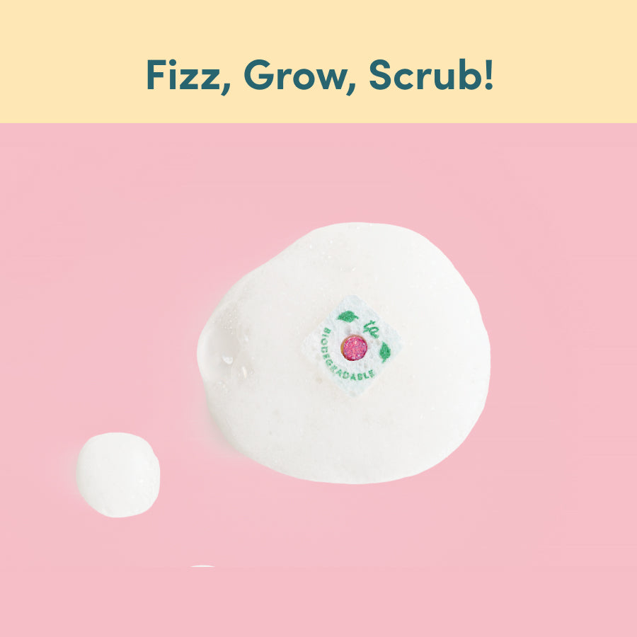 Sponge n' Go™️ (Pack of 20)