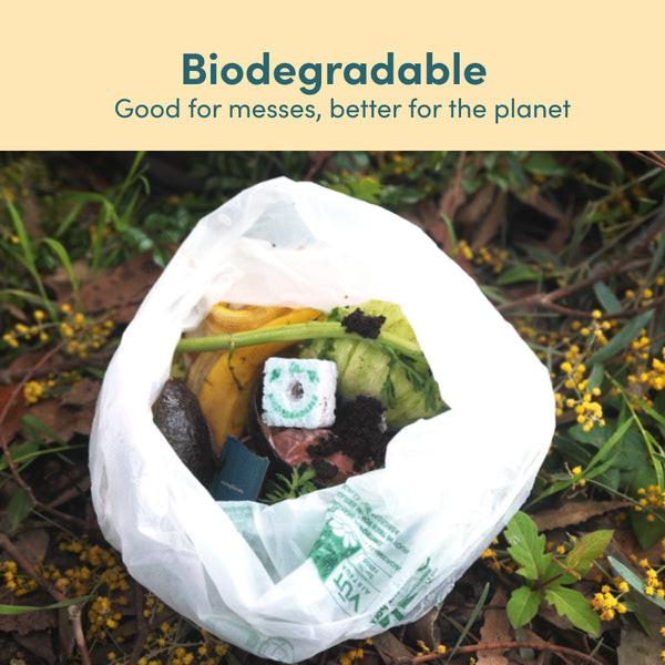 Sponge n' Go™️ (Pack of 20)