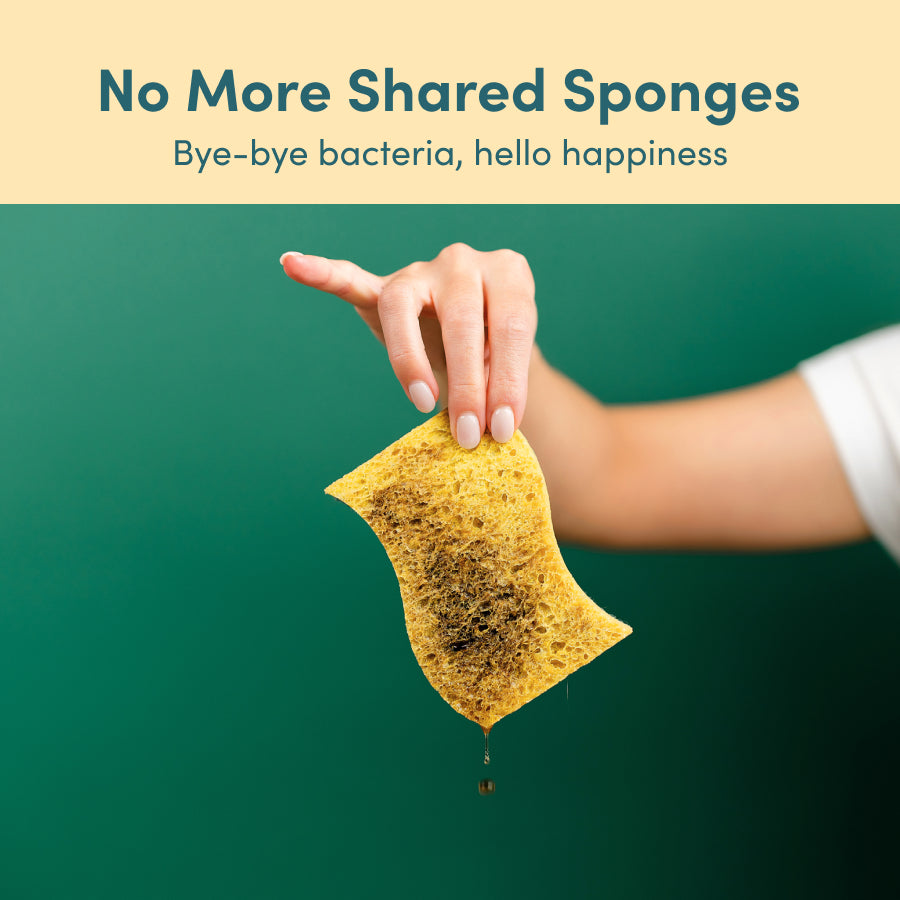 Sponge n' Go™️ (Pack of 20)