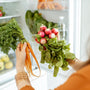 How to Store Food In Fridge