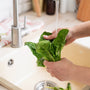Keep Your Kitchen Clean With Our 5 Golden Rules of Food Safety