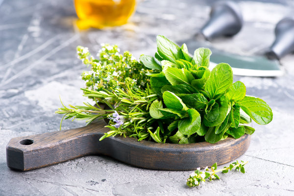 Fresh herb on board and set on the table, grey countetop